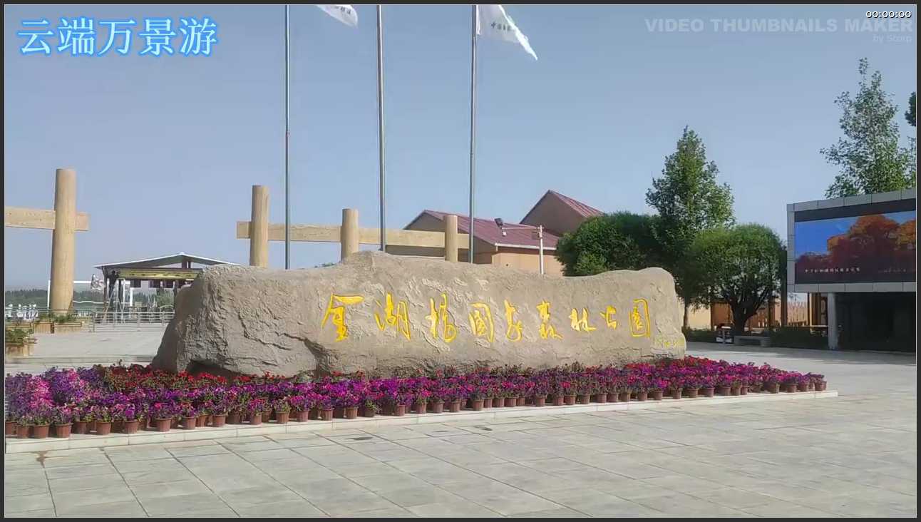 307 新疆 喀什地区泽普金胡杨景区