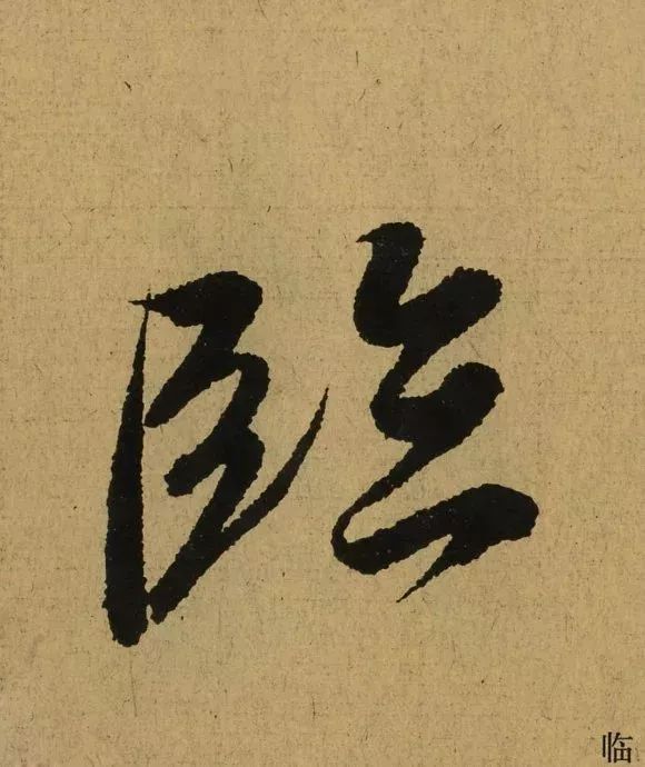 256