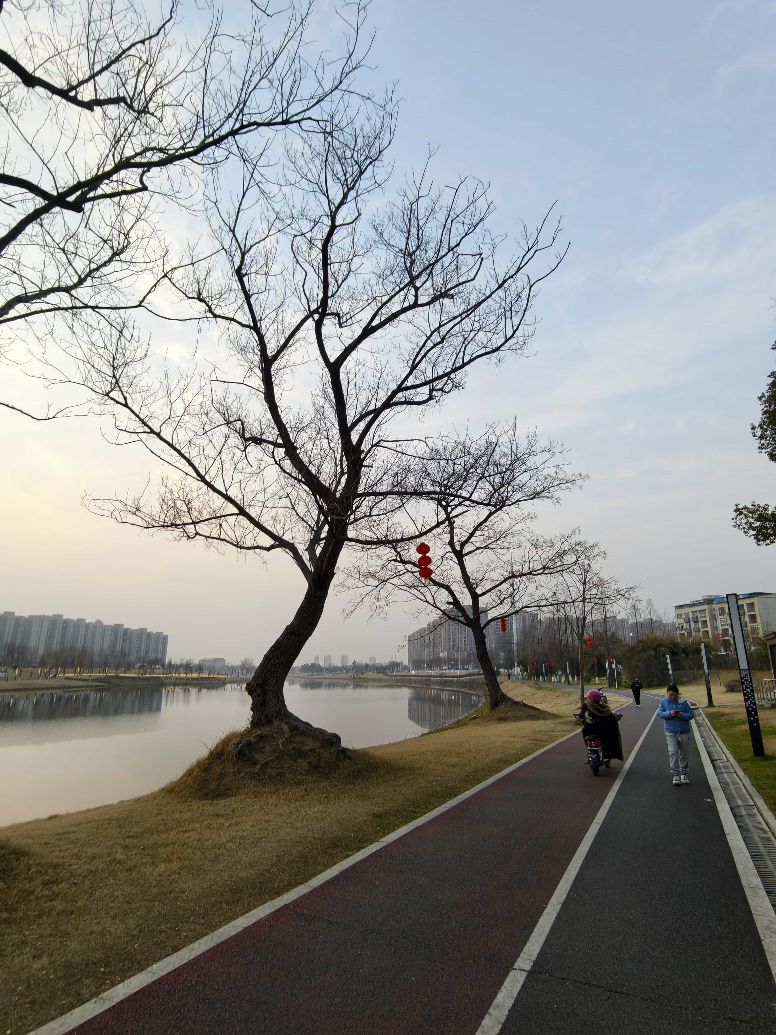 IMG 20260210 175404