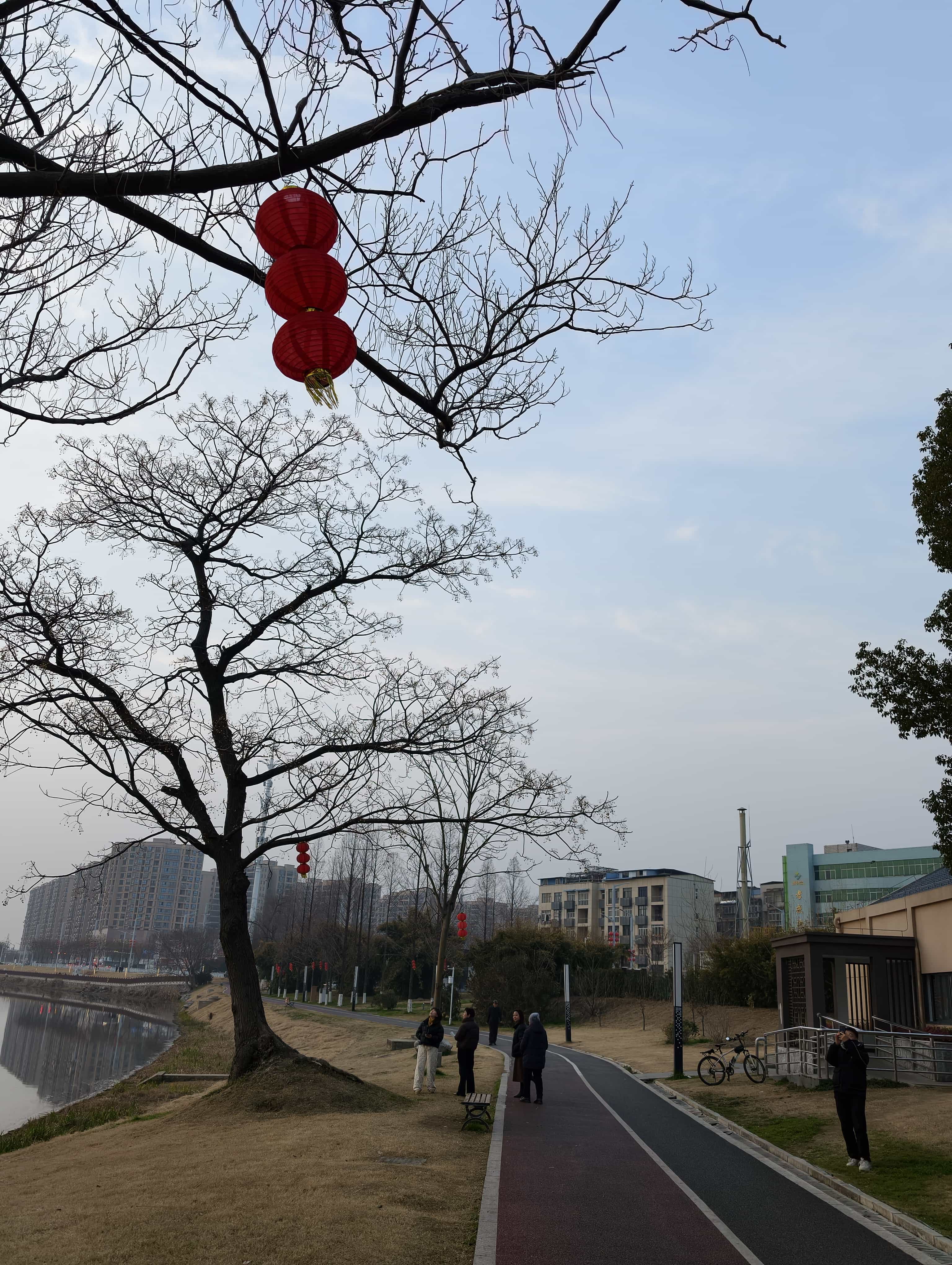 IMG 20260210 175532