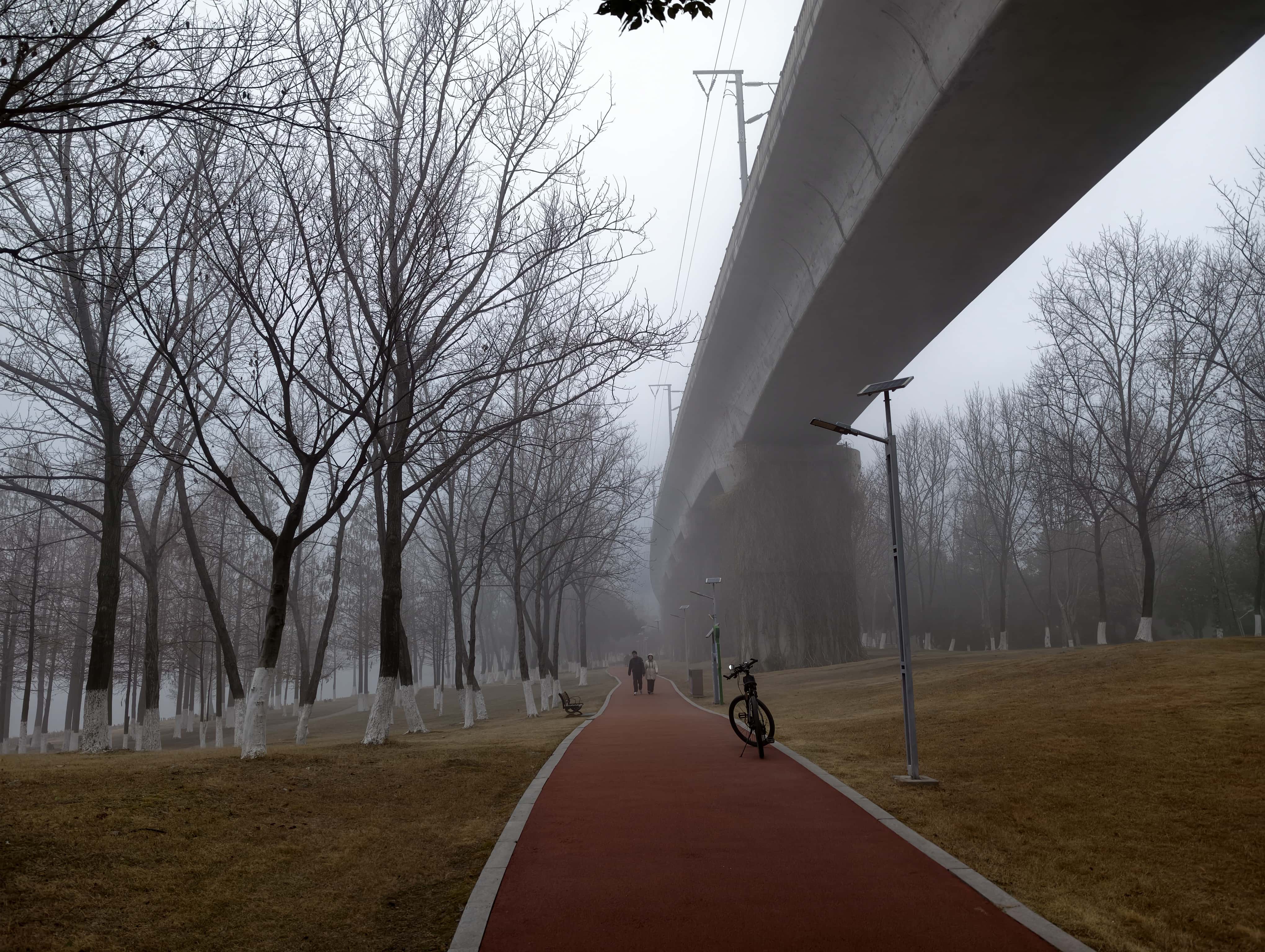 IMG 20260211 085951