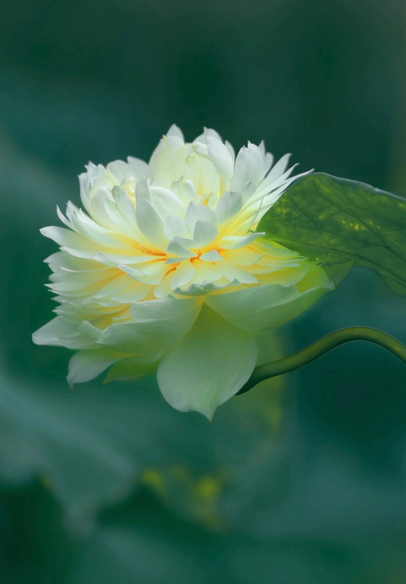 017
