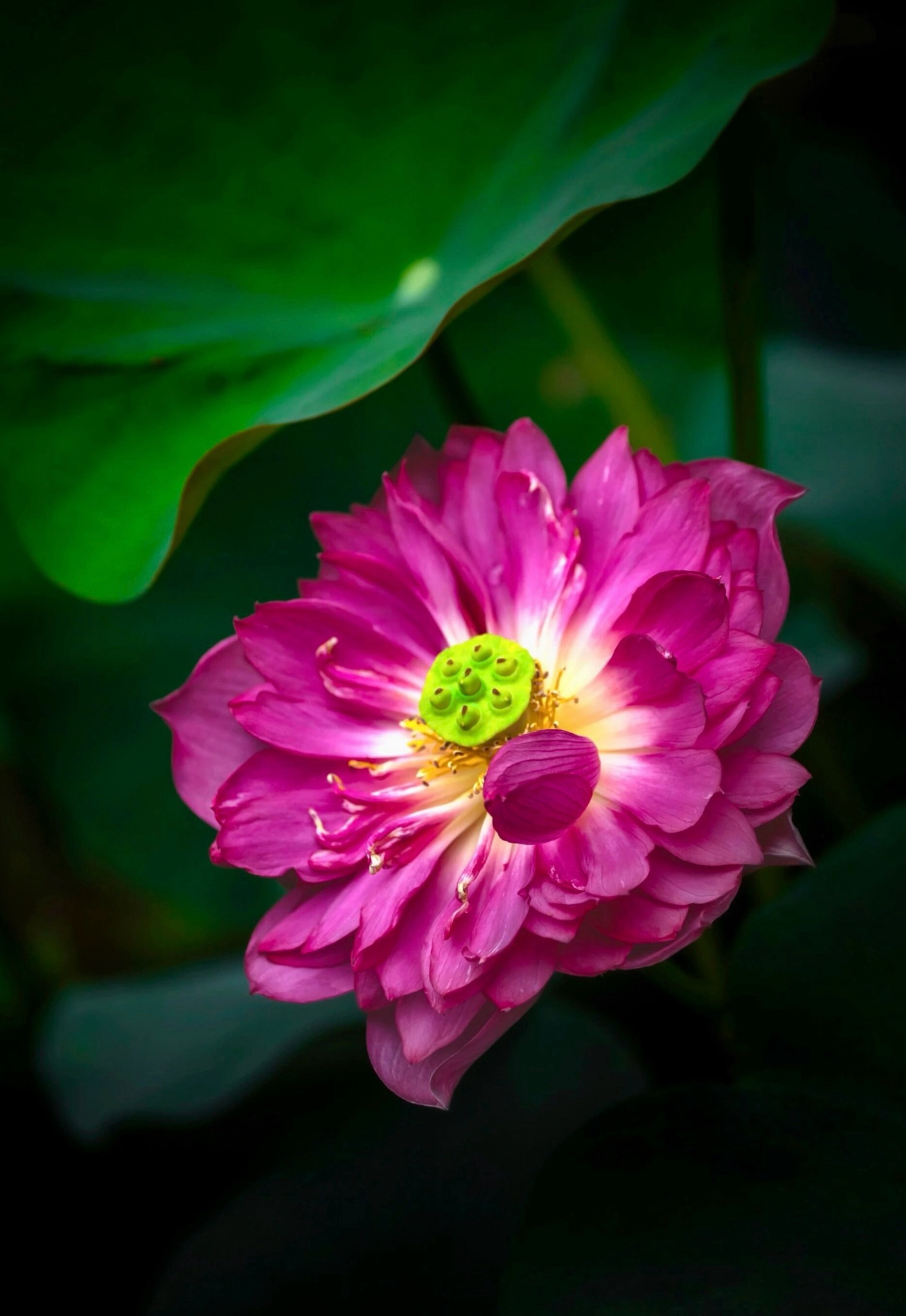 018