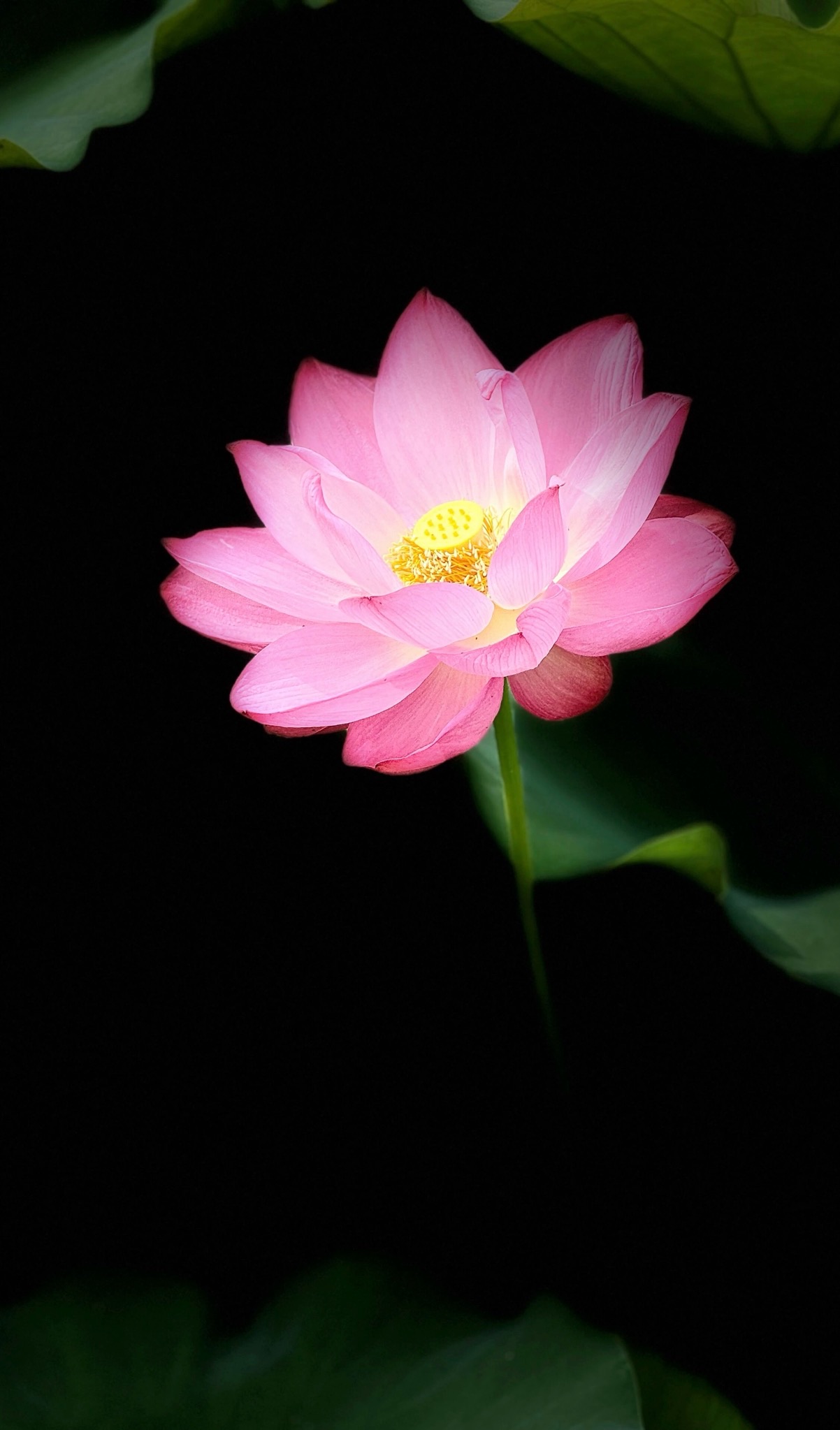 019
