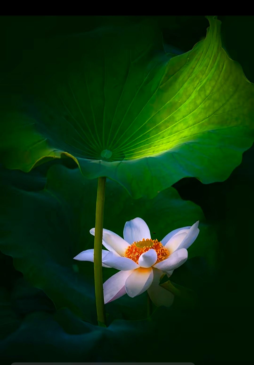 023