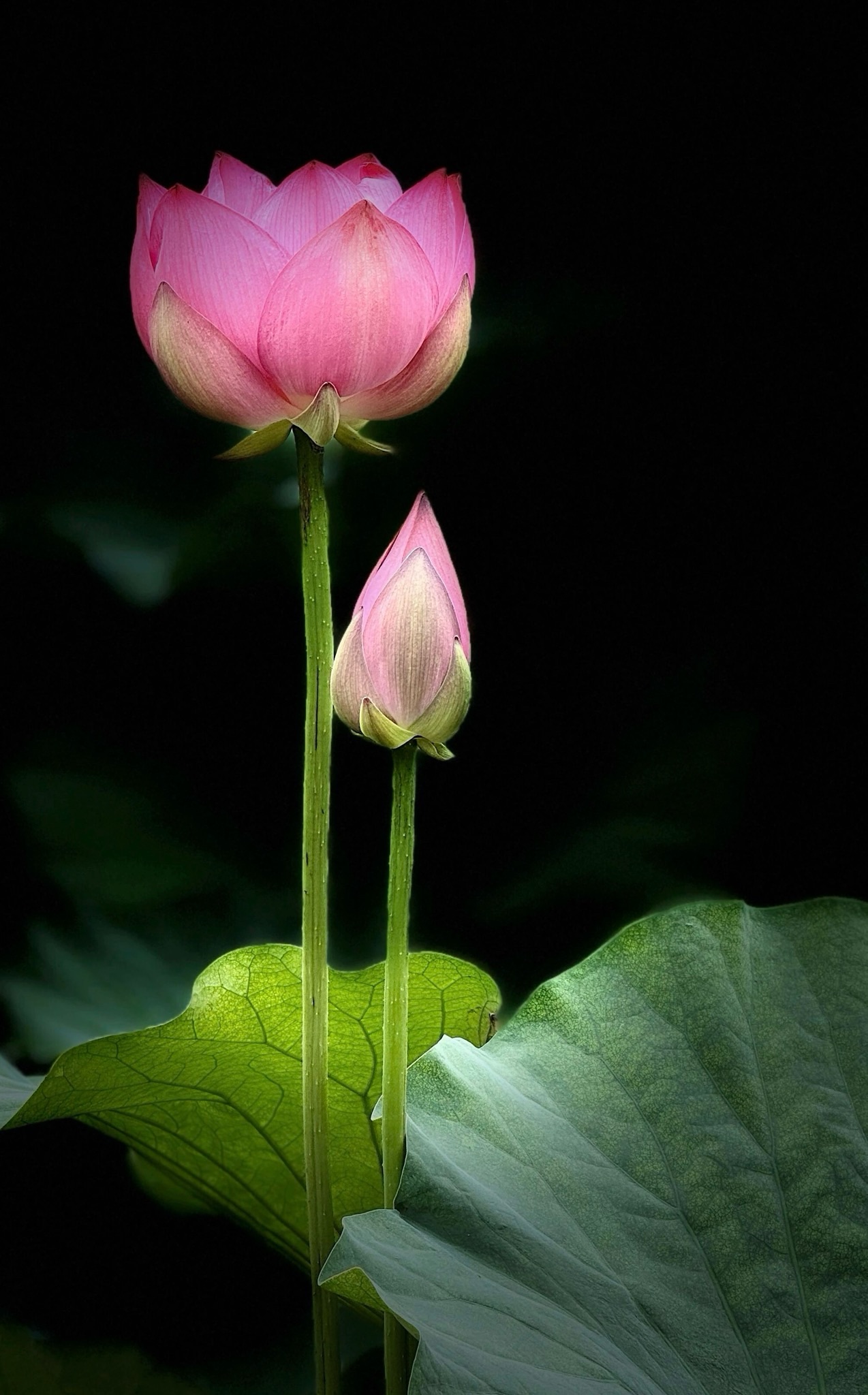 A002