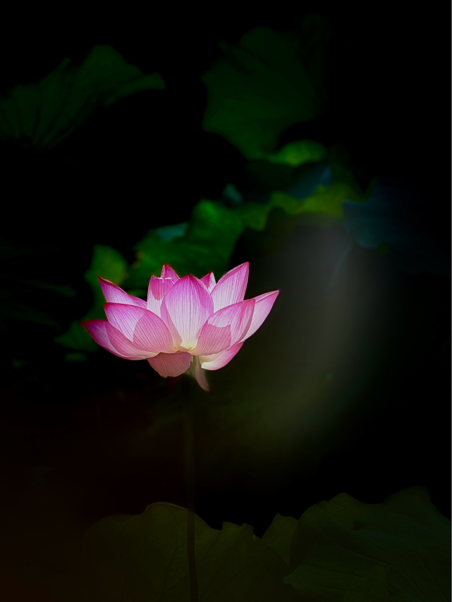 I005