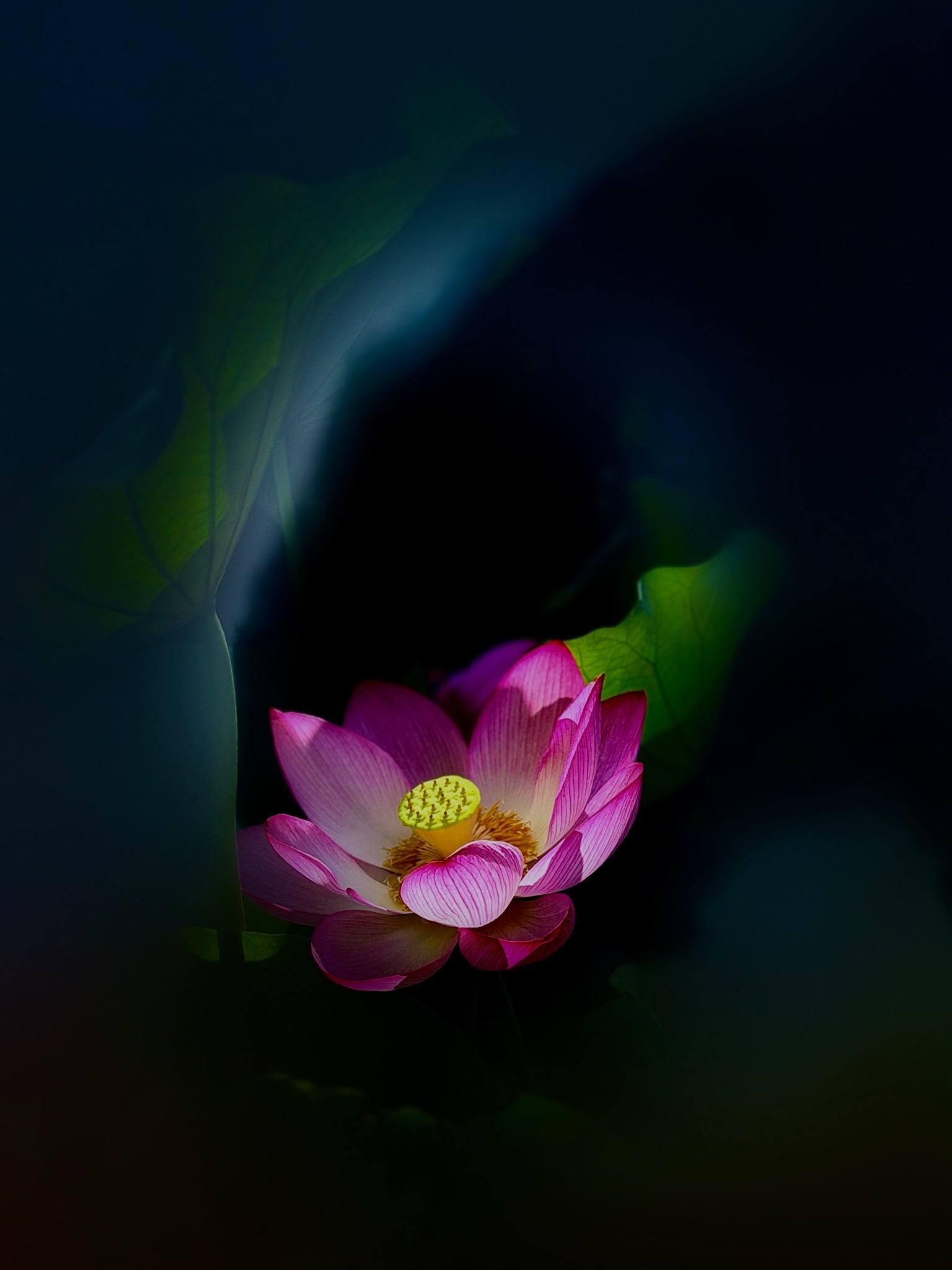 I006