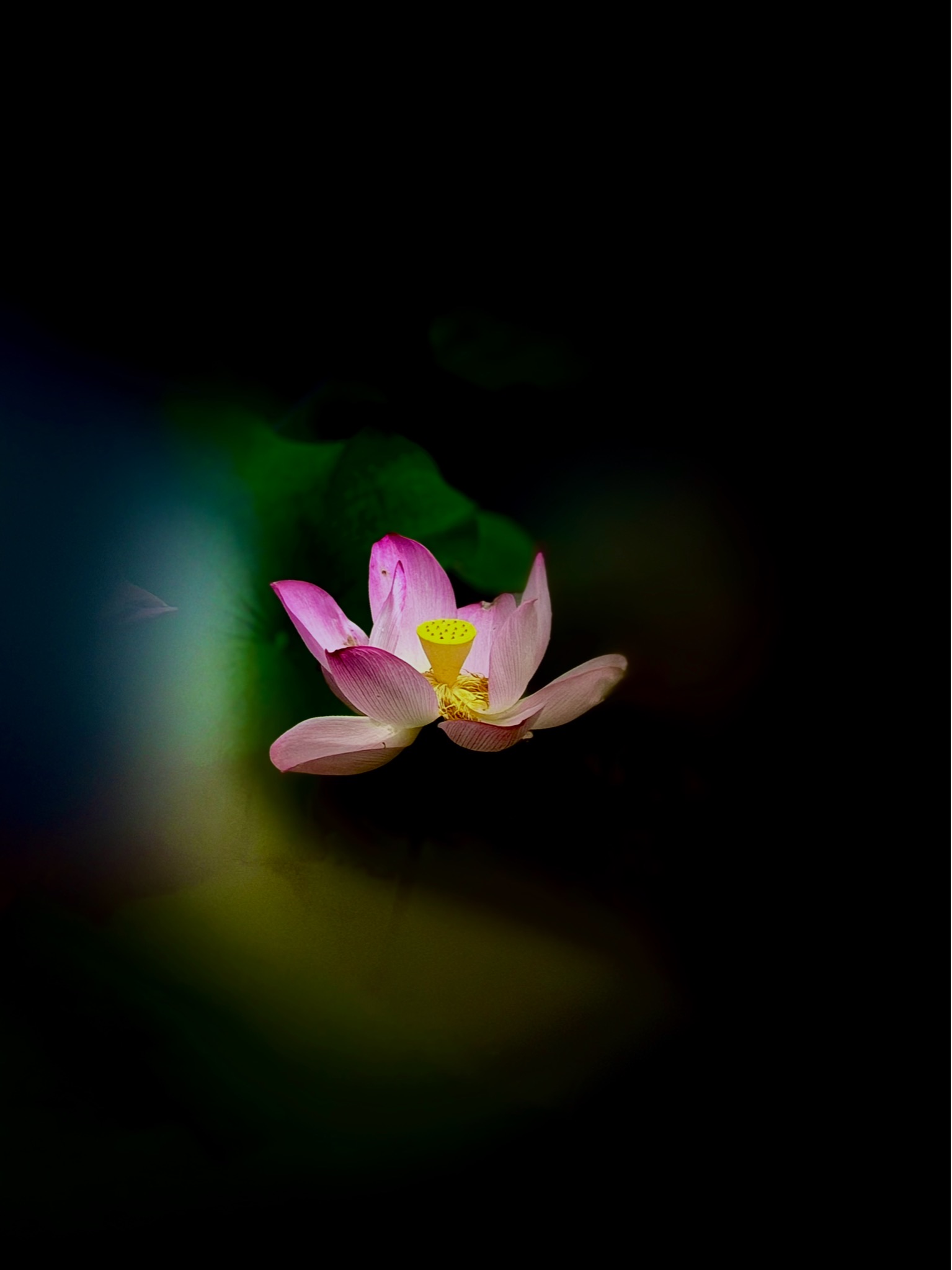 I011