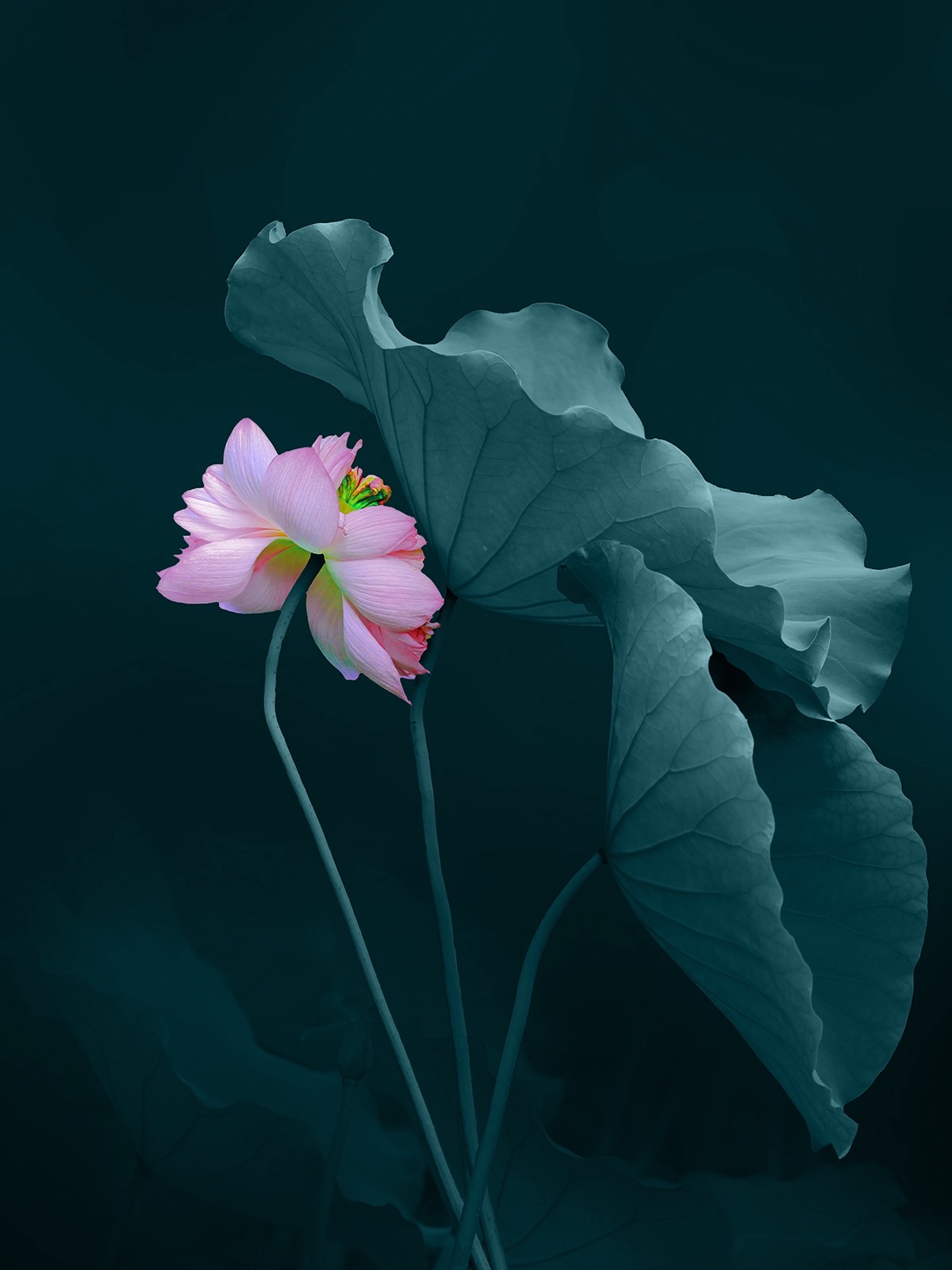 K002