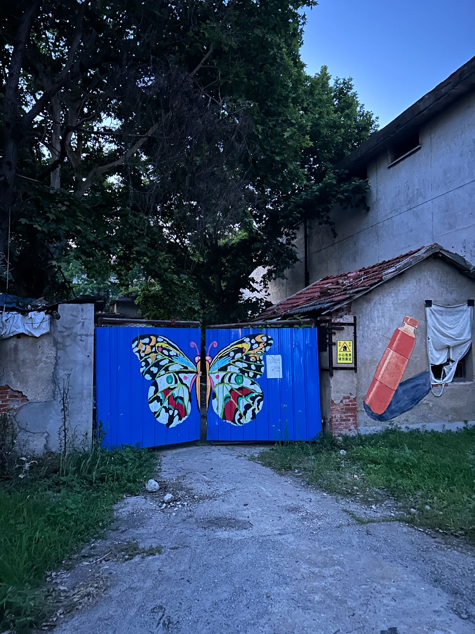 IMG 1524