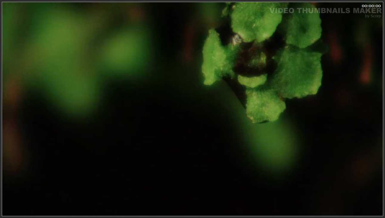 109 安徽 池州九华山