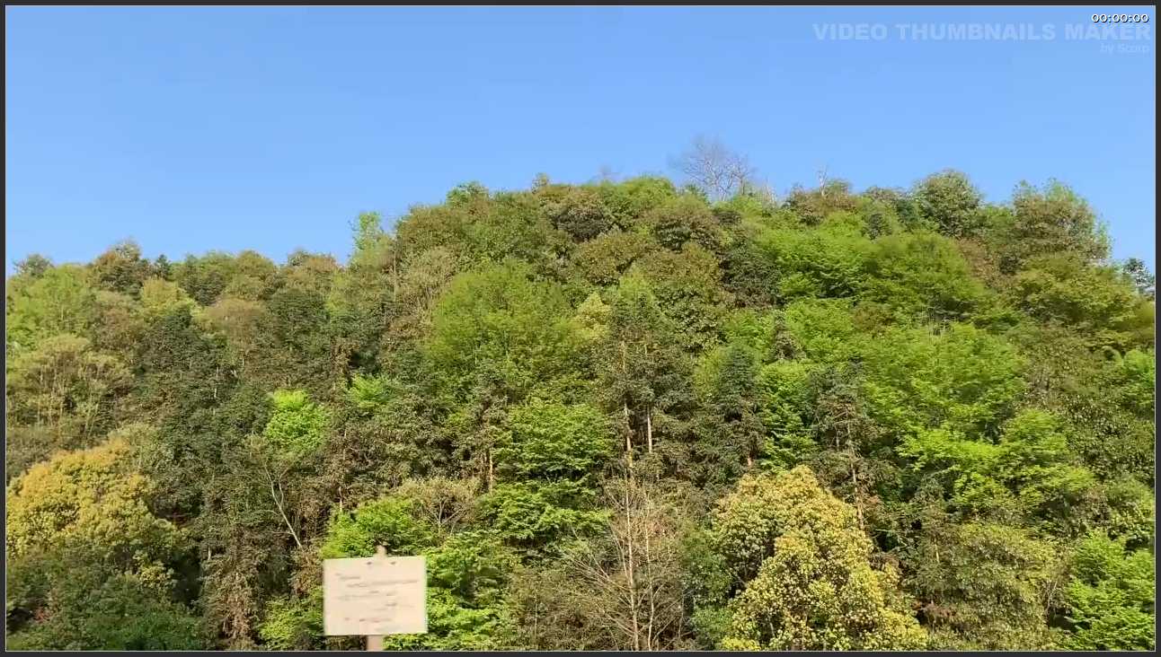 132 江西 上饶三清山