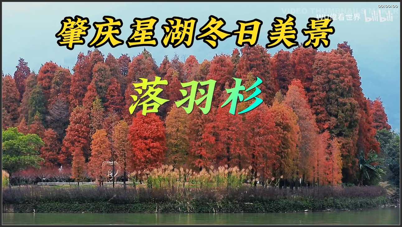 208 广东 肇庆星湖风景