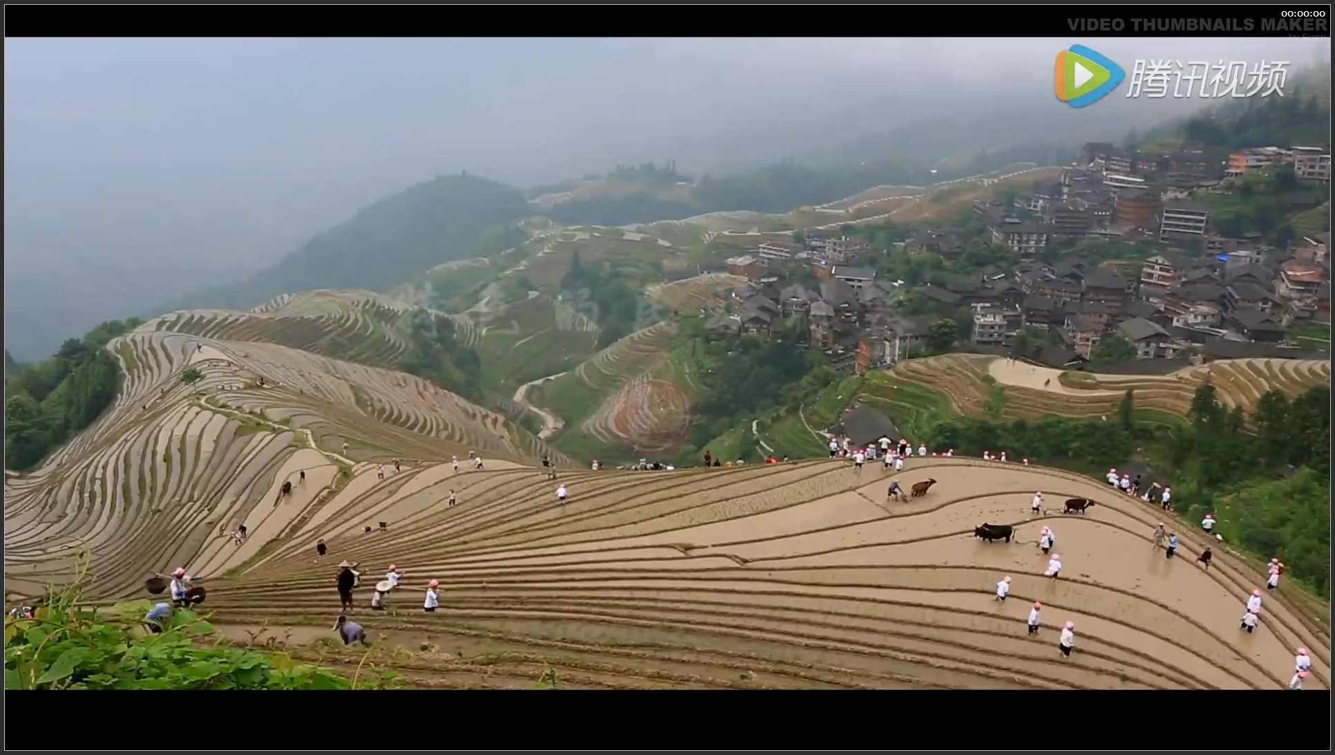 213 广西 桂林龙脊梯田双语宣传片
