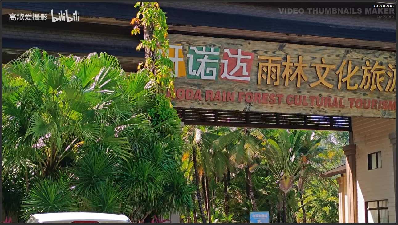 225 海南 呀诺达雨林