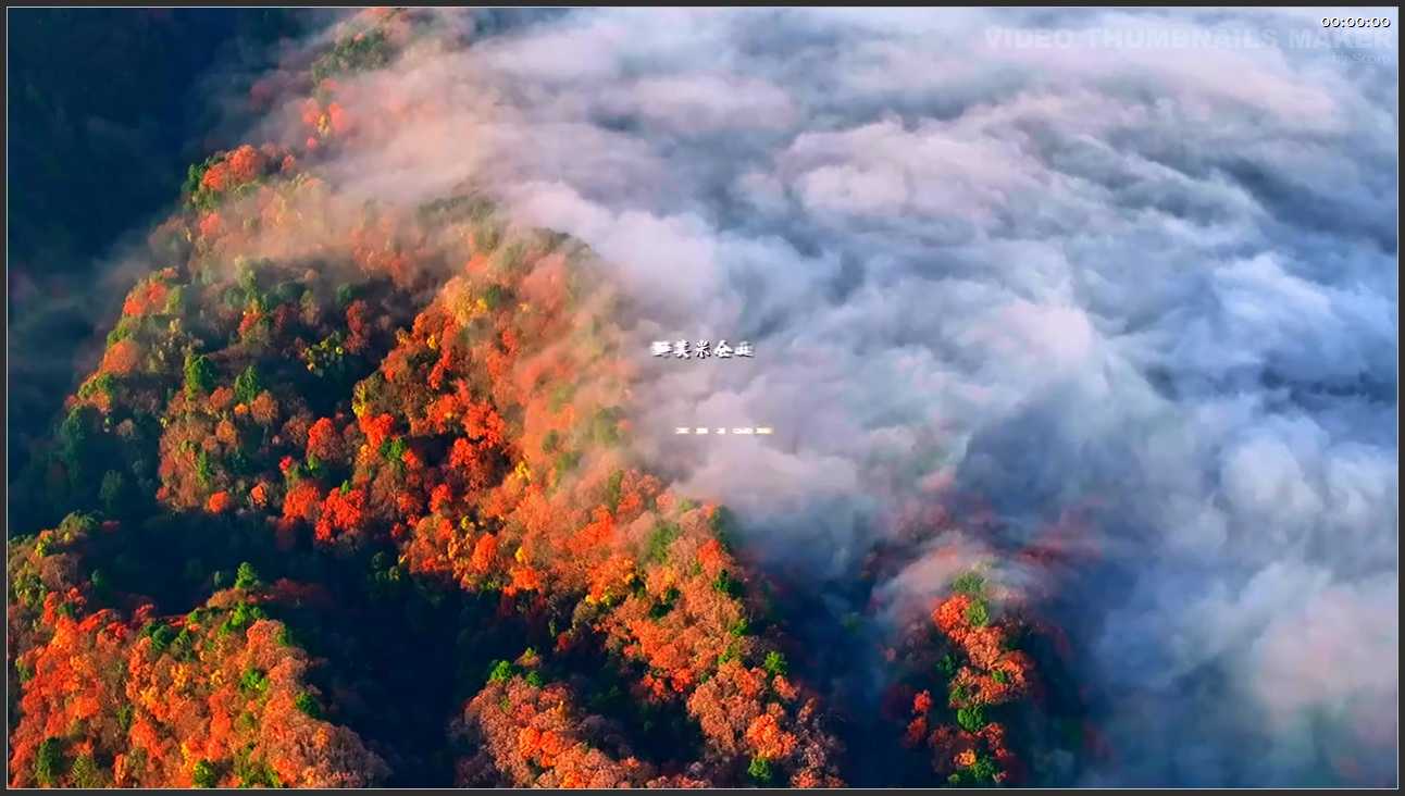 250 四川 巴中市光雾山