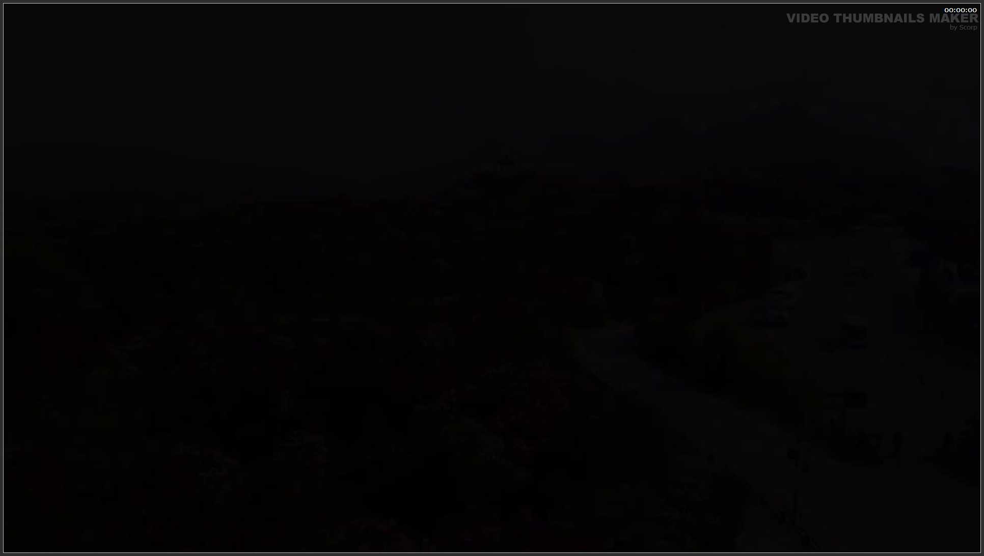 257 贵州 航拍 百里杜鹃风景区花海