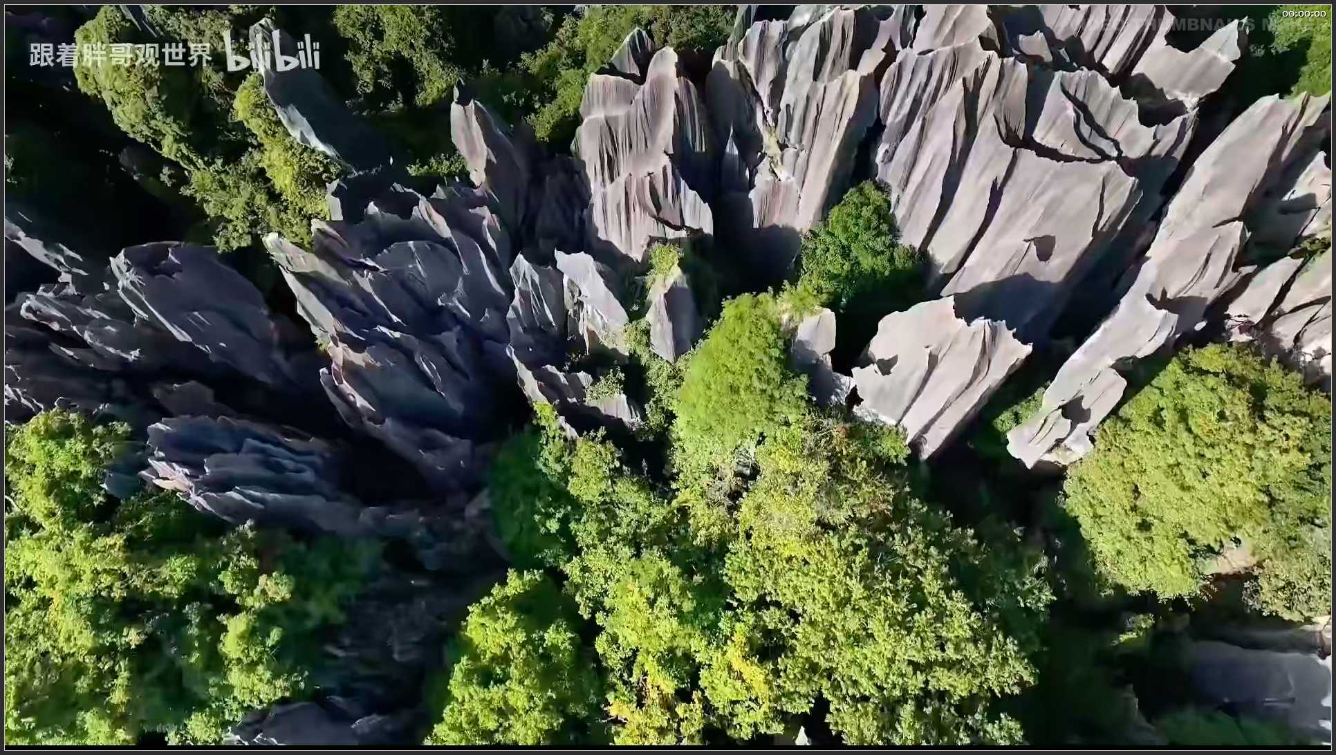 262 云南 昆明石林风景名