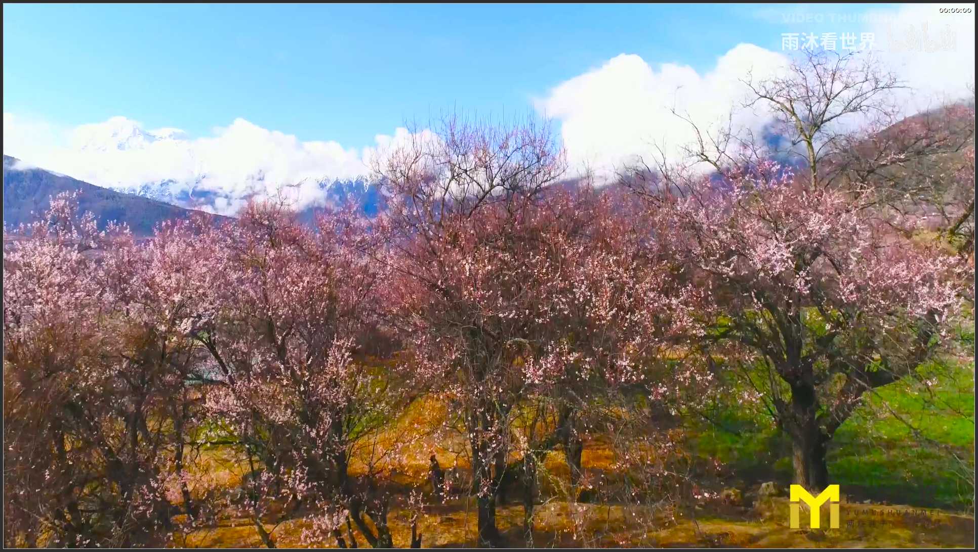 275 西藏 航拍 雅鲁藏布江大峡谷唯美航拍