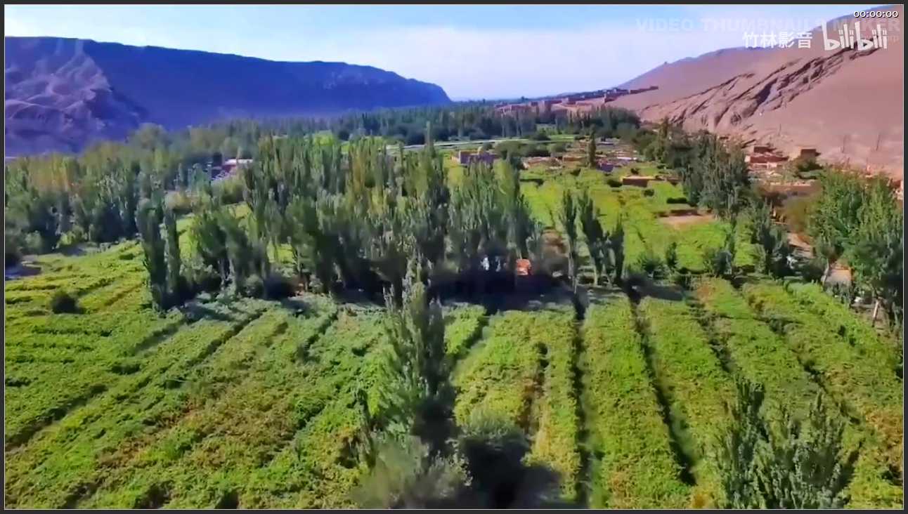 303 新疆 吐鲁番葡萄沟