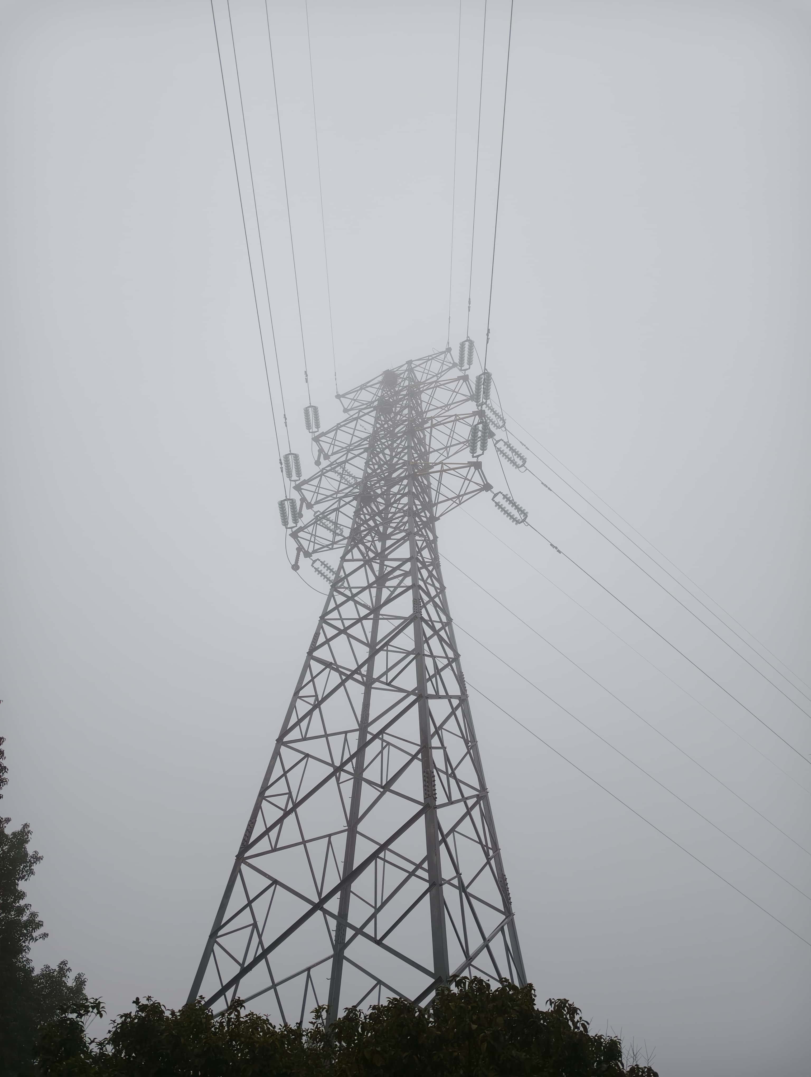 IMG 20260211 082819