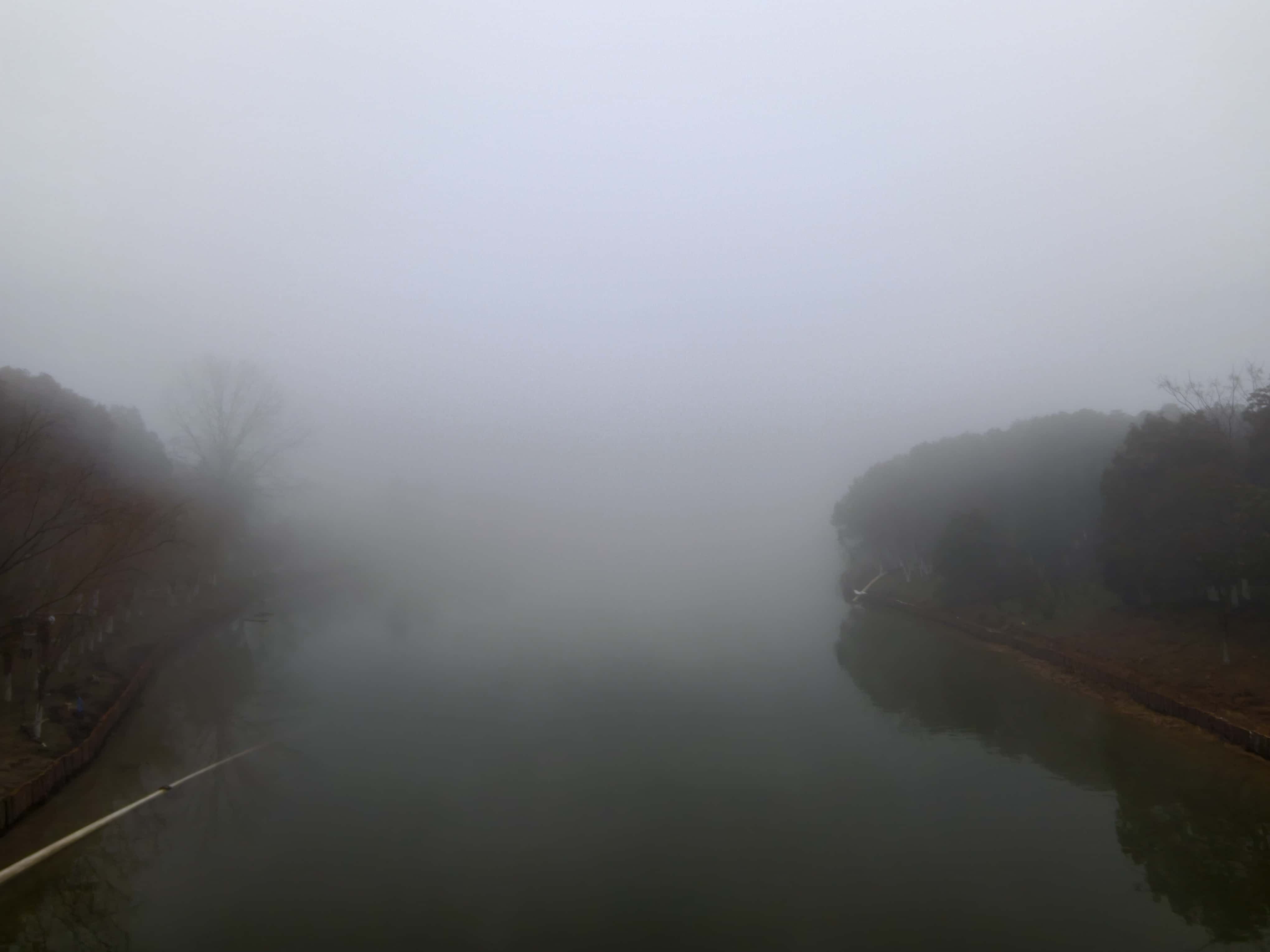 IMG 20260211 084137