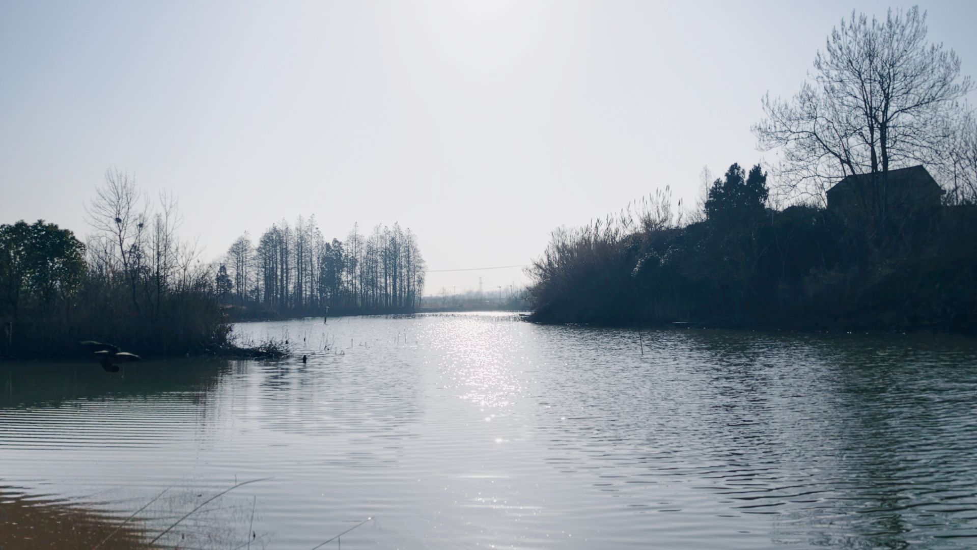 IMG 20260221 160248